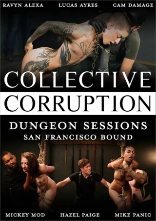 Watch Dungeon Sessions: San Francisco Bound Porn Movie Online Free