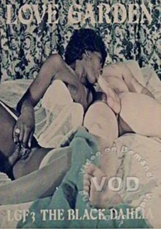 Watch The Black Dahlia Porn Movie Online Free