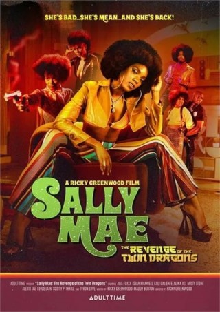 Watch Sally Mae: Revenge Of The Twin Dragons, The Porn Movie Online Free