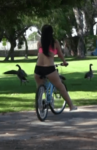 Watch AS2014 Customer Appreciation Big Butts On Bicycles Porn Movie Online Free