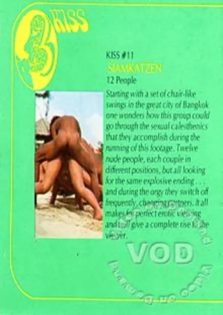 Watch Kiss Films 11 - Siamese Cats Porn Movie Online Free