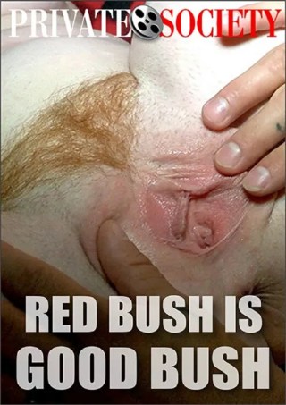 Watch Red Bush Is Good Bush Porn Movie Online Free