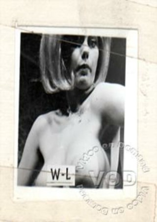 Watch White Box Productions 25 - W.L. Strip Porn Movie Online Free